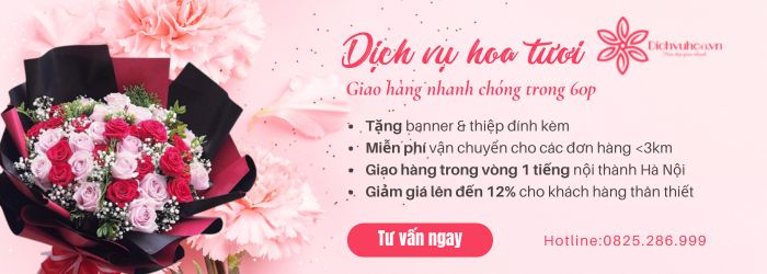 Dichvuhoa.vn - Địa chỉ bán hoa chúc mừng sự kiện bạn không nên bỏ lỡ