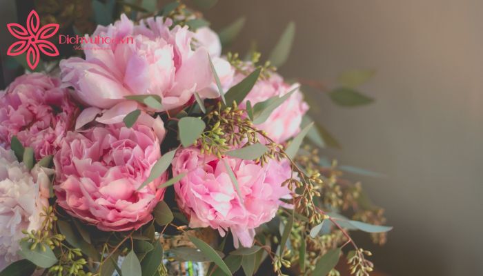 một bó hoa mẫu đơn (peonies) màu hồng với các cánh hoa to