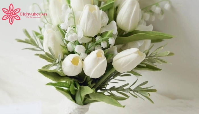 Vẻ đẹp quý phái của hoa tulip