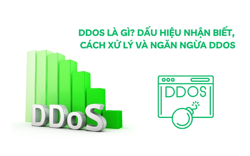 ddos là gì